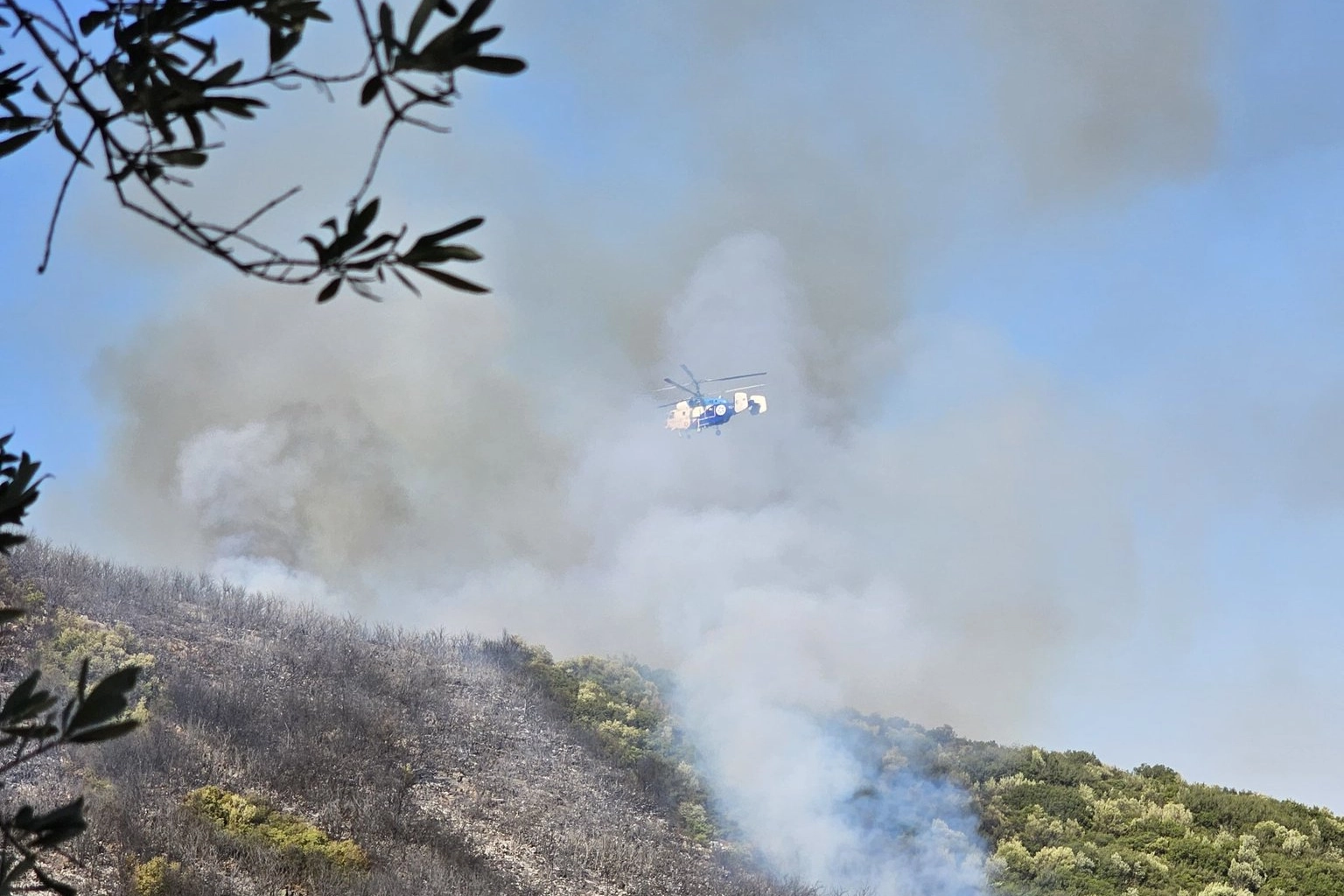 Bursa Orhangazi'de orman yangını!